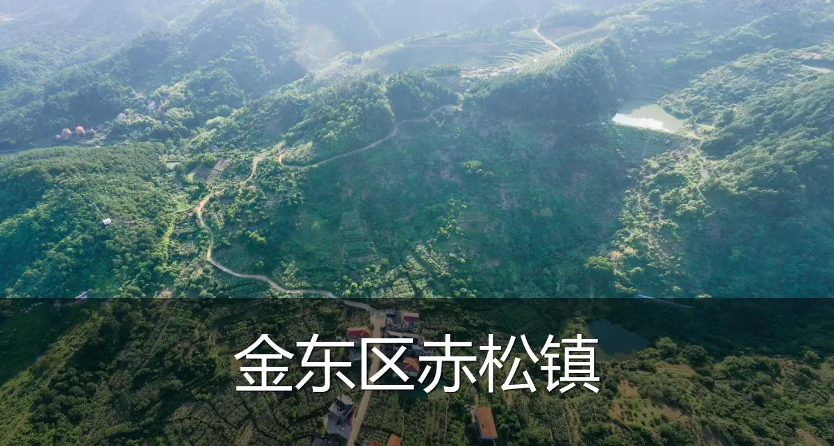 金东区赤松镇