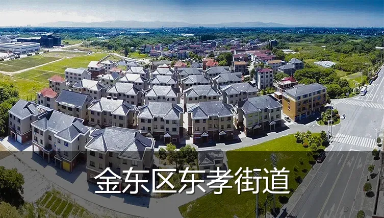 金东区东孝街道